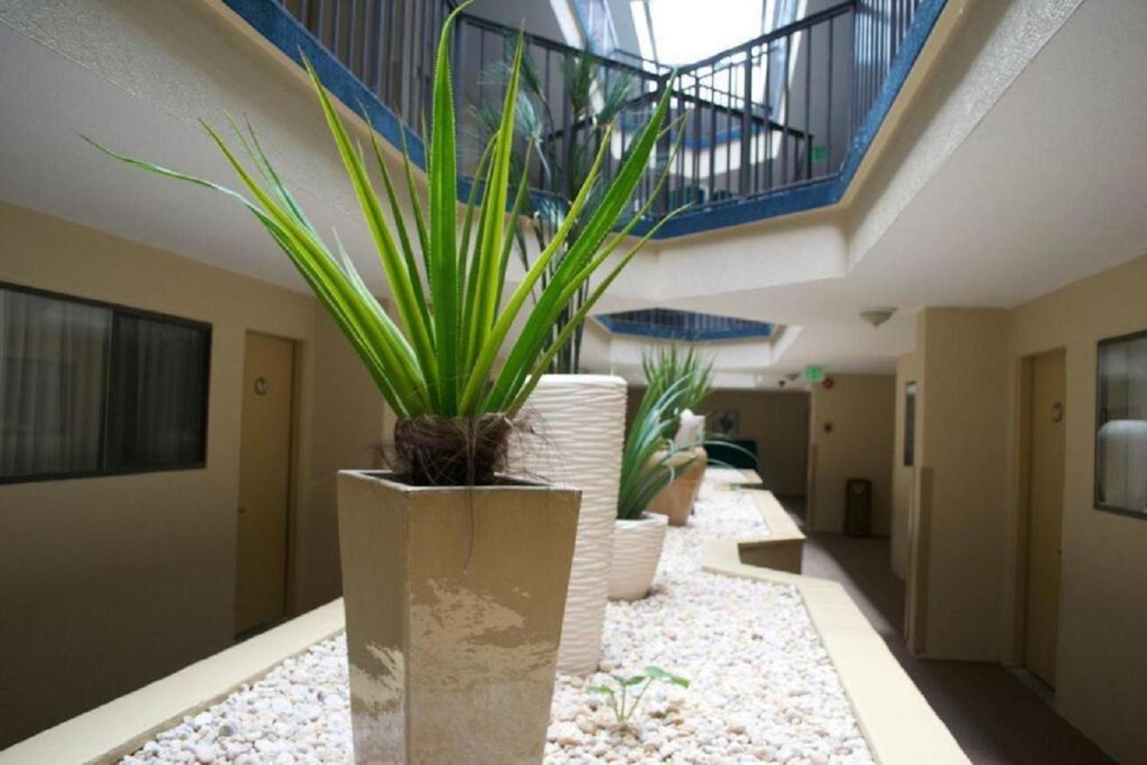 רהובות' ביץ' Brighton Suites Hotel מראה חיצוני תמונה